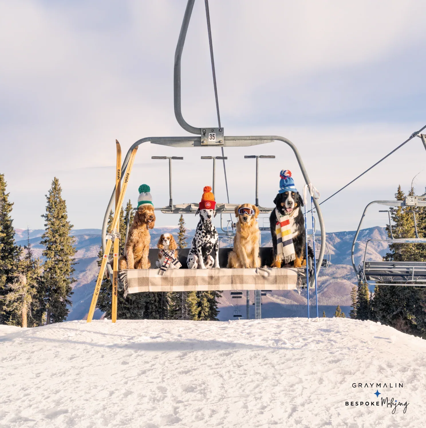 Gray Malin Getaway Dogs 双面麻将垫